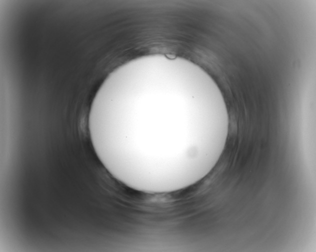 X0000088460185200706051331