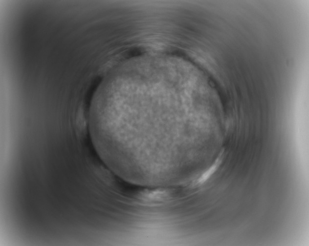 X0000088460186200706051331