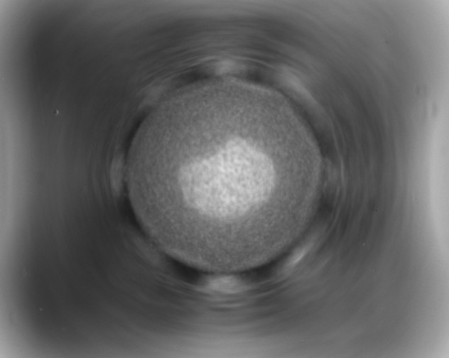 X0000088460189200706051331