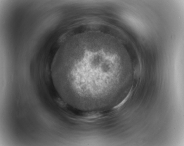 X0000088460191200706051331