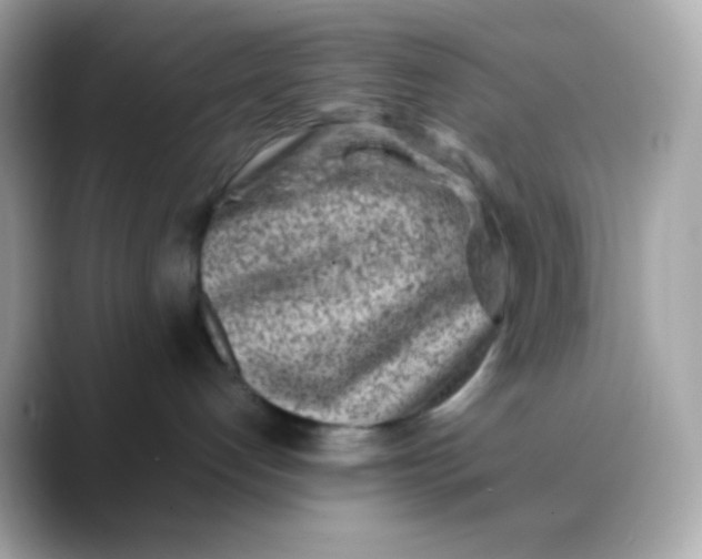 X0000088460192200706051331