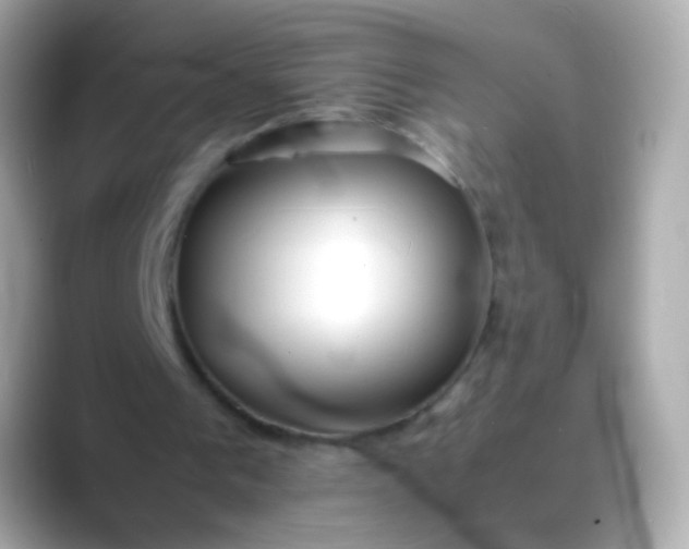 X0000088460193200706051330