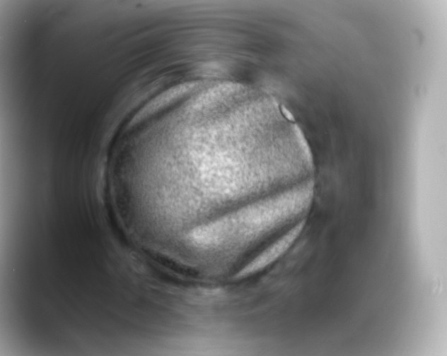 X0000088460194200706051330