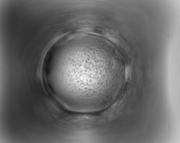 X0000088460195200706051330