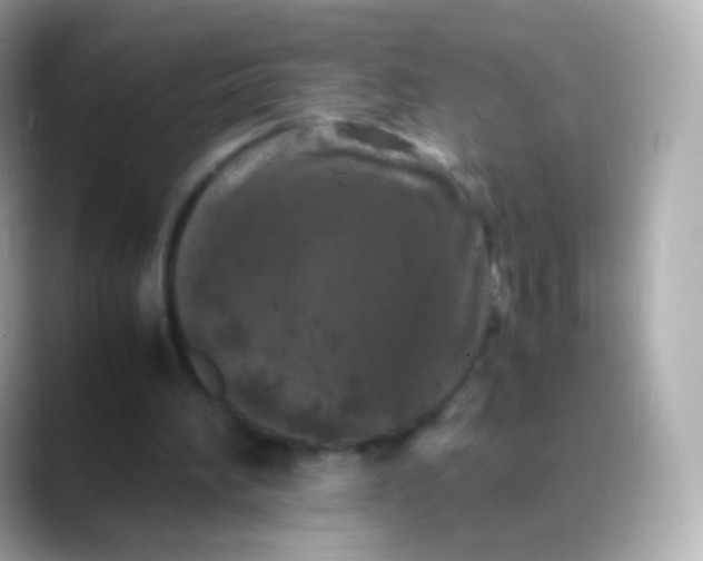 X0000088460196200706051330