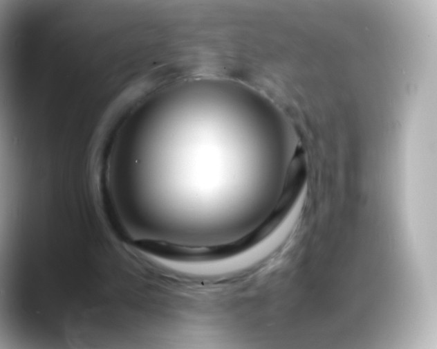 X0000088460197200706051330