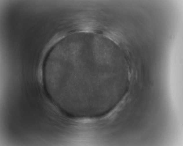 X0000088460198200706051330