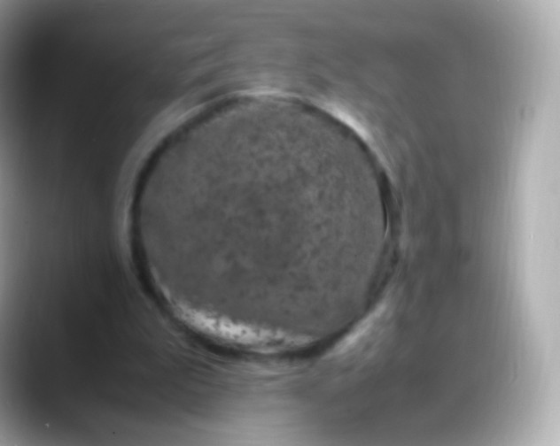 X0000088460199200706051330