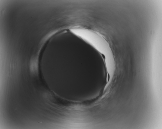 X0000088460200200706051330