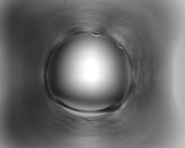 X0000088460201200706051330