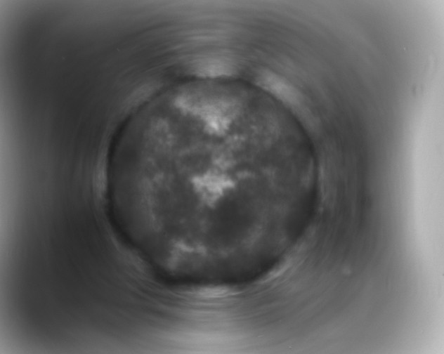 X0000088460202200706051330