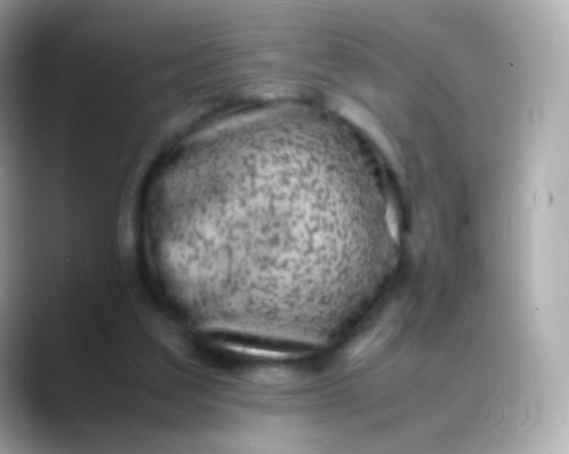 X0000088460203200706051330