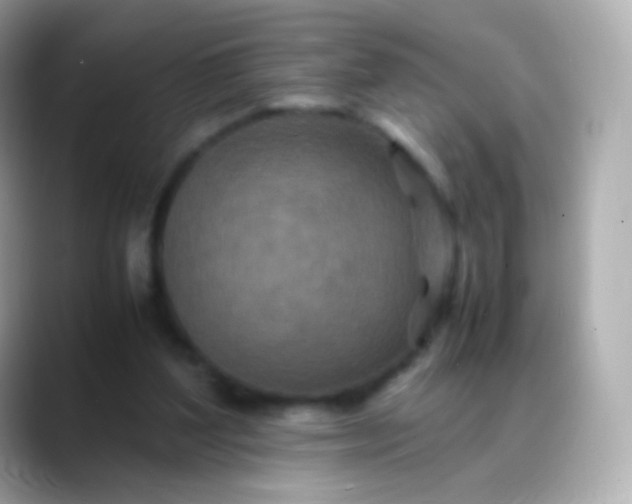 X0000088460204200706051330