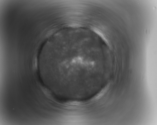 X0000088460205200706051330