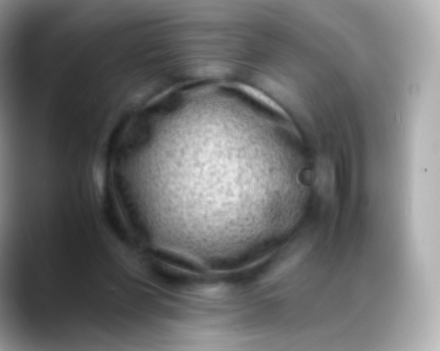 X0000088460206200706051330