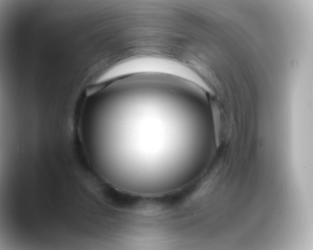 X0000088460207200706051330