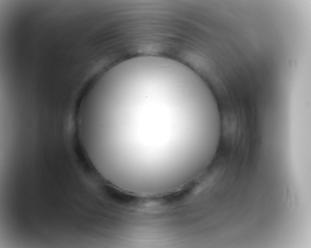 X0000088460208200706051330