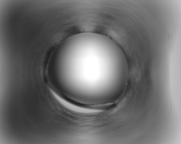 X0000088460209200706051330