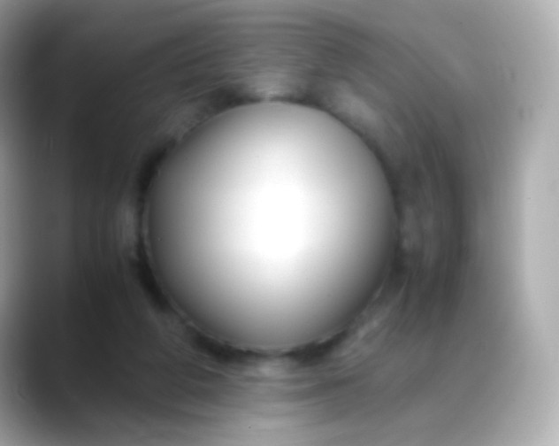 X0000088460210200706051330