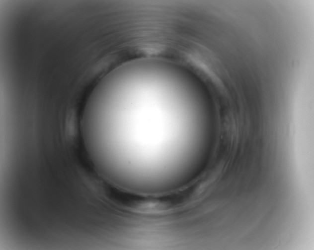 X0000088460212200706051330