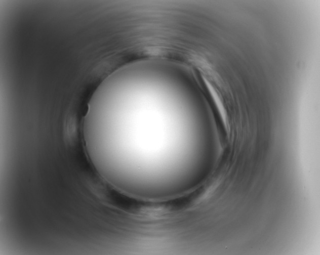 X0000088460213200706051330