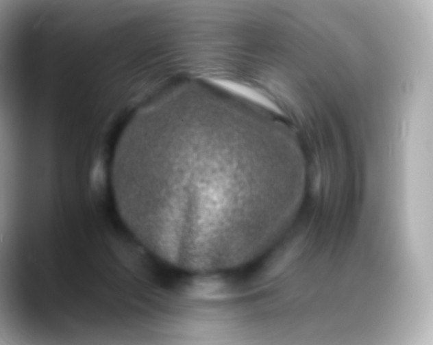 X0000088460214200706051330