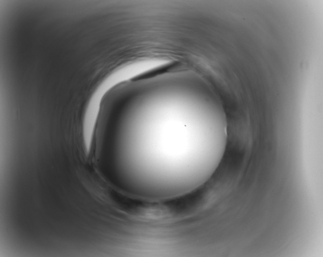 X0000088460215200706051330