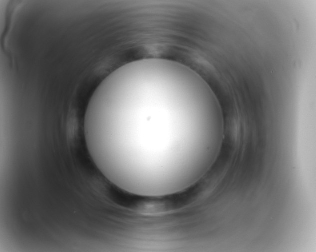 X0000088460220200706051330