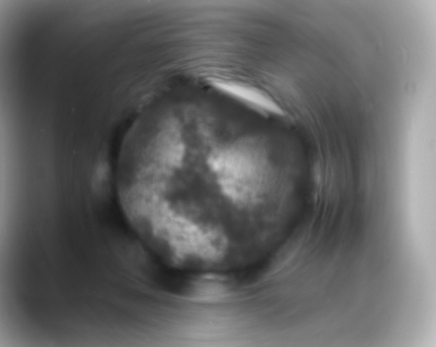 X0000088460222200706051330