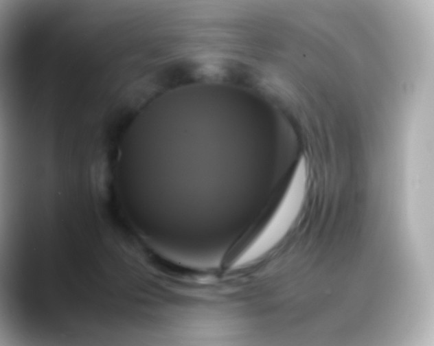 X0000088460223200706051330