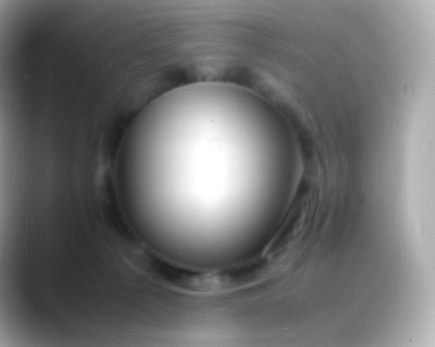 X0000088460225200706051330