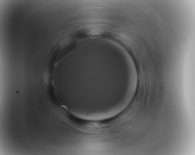 X0000088460227200706051330