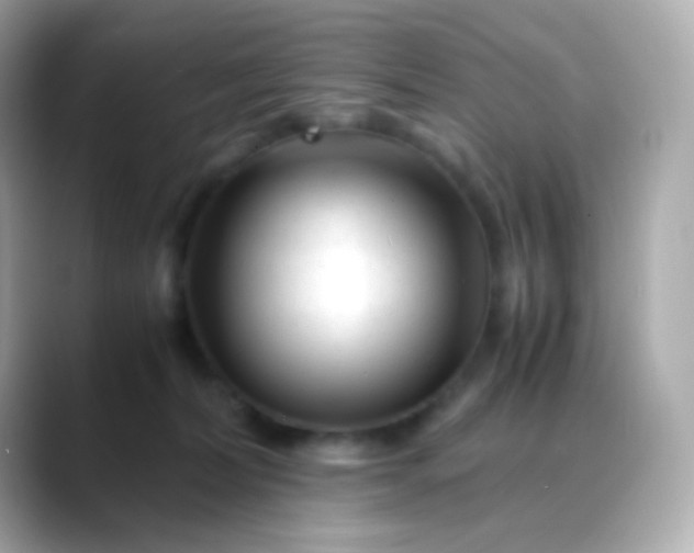 X0000088460228200706051330