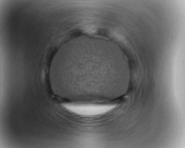 X0000088460229200706051330