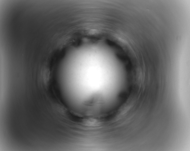 X0000088460230200706051330