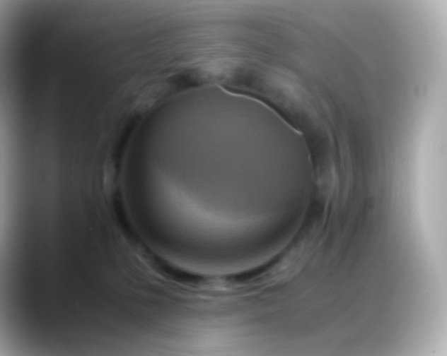 X0000088460231200706051330