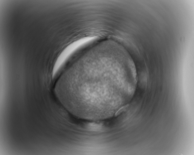 X0000088460232200706051330