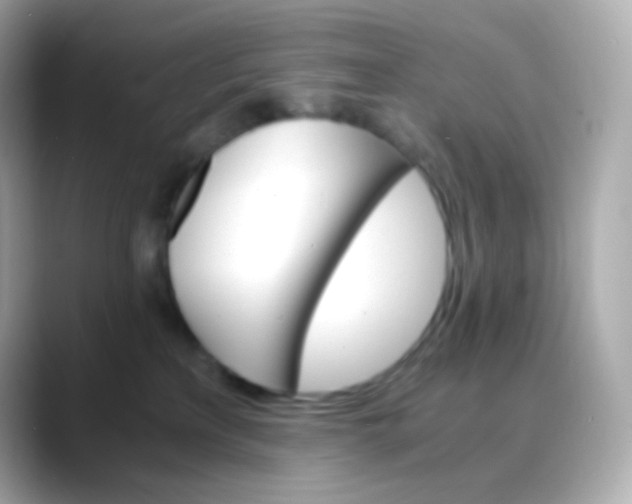 X0000088460233200706051330