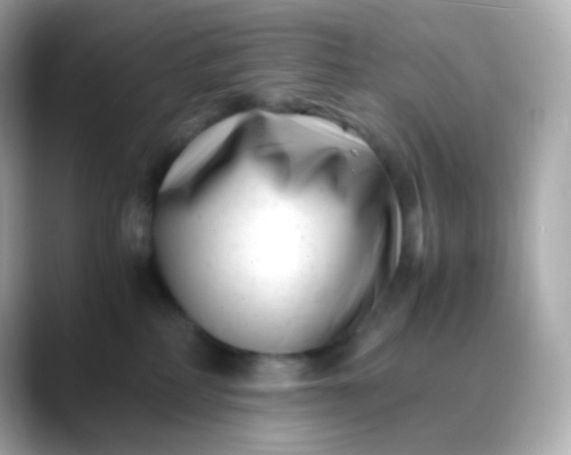 X0000088460234200706051330