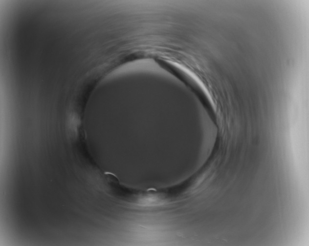 X0000088460235200706051330