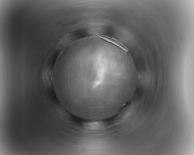 X0000088460237200706051330