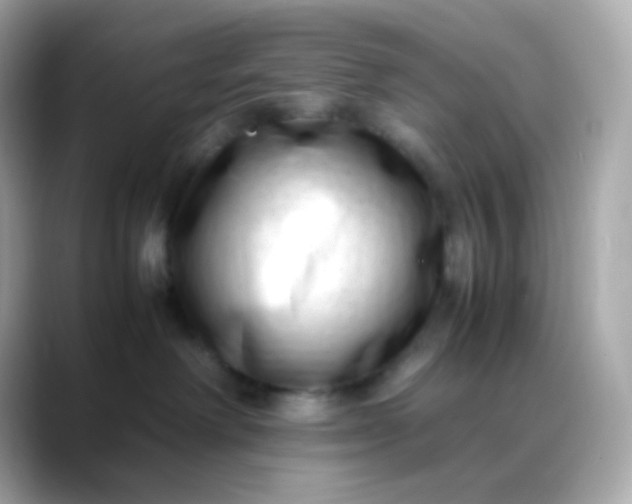 X0000088460238200706051330