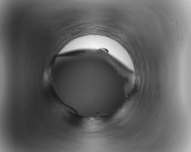 X0000088460239200706051330