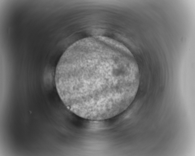 X0000088460240200706051330