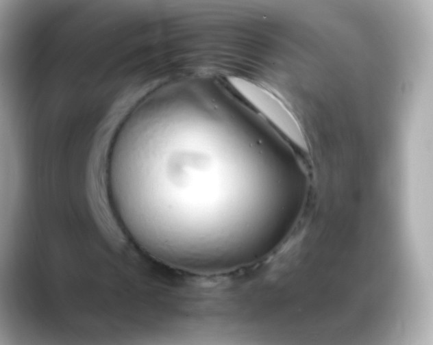 X0000088460241200706051329