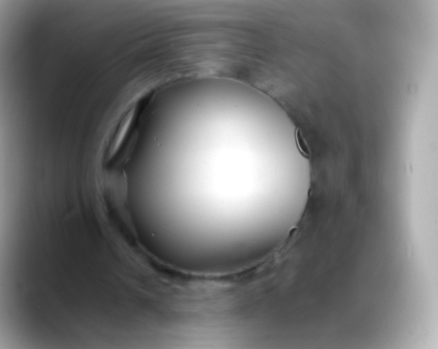 X0000088460242200706051329