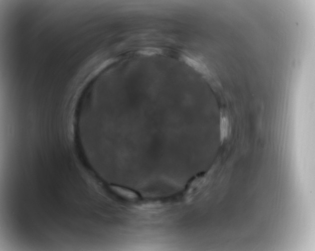 X0000088460243200706051329