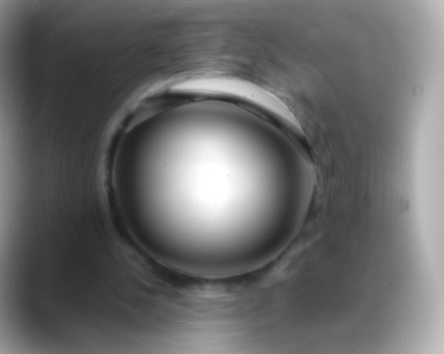 X0000088460244200706051329