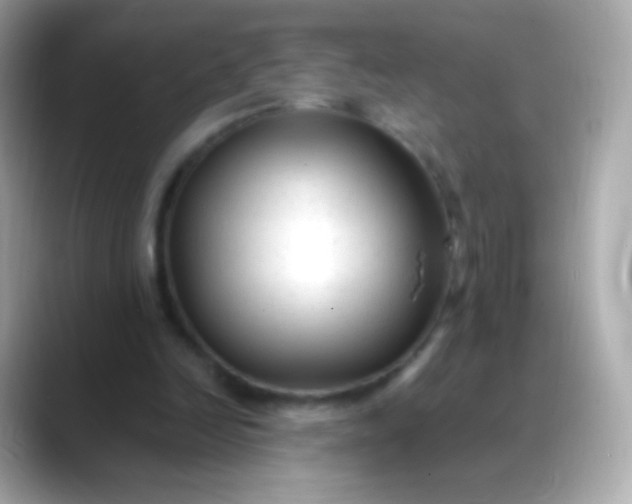 X0000088460246200706051329