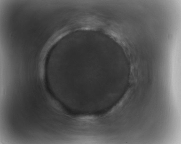 X0000088460247200706051329